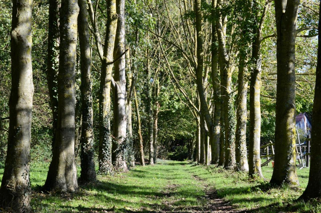 B&B La Tour Blanche Forest-Montiers Bagian luar foto